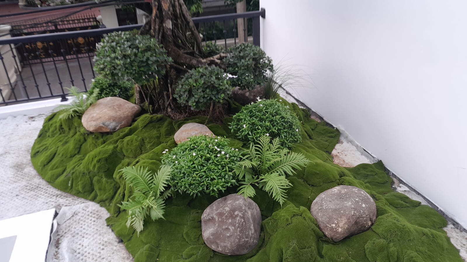 lumut garden