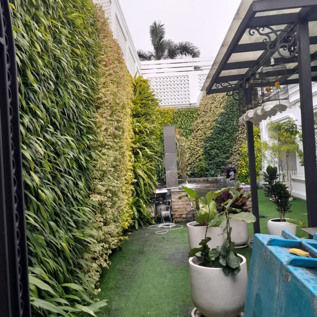 whatsapp image 2026 04 30 at 10.41.06 (1) Taman dalam rumah