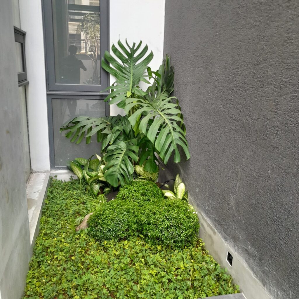 whatsapp image 2026 04 30 at 10.41.06 Design taman dalam rumah